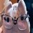 junieapple's profile image