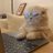 rainnumbrella's profile image