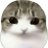 diyztf's profile image