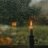 Abdulla40437726's profile image