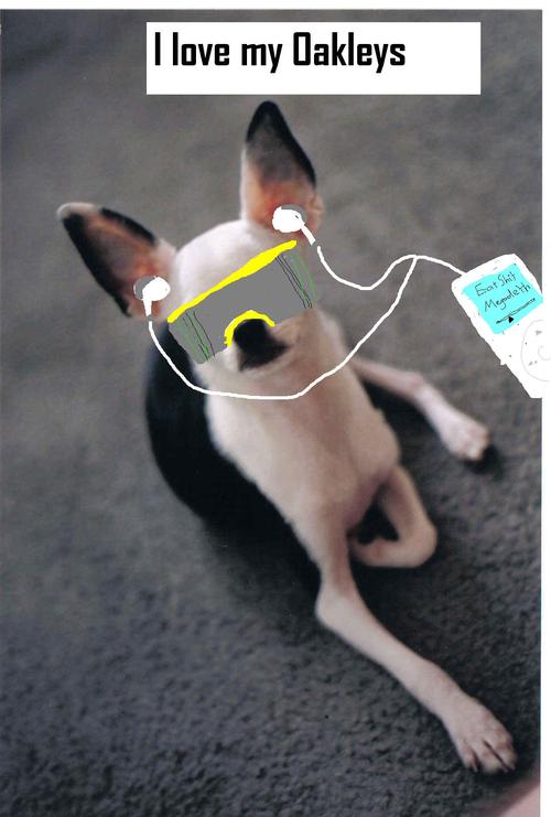 LateNiteNugs's profile picture. Put the baby to bed and prick up your ears to Late Nite Nugs. This is the podcast to end all podcasting.