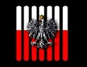Polish_Punk's profile picture. Consultant. *Everything I tweet is of my own opinion or at least something that I found interesting enough to spread.
