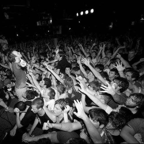 Rock_Words's profile picture. POP PUNK'S NOT DEAD