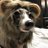 Nuo_ozZ's profile image