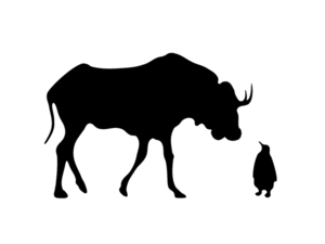 gnulinuxIC's profile picture. 