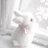 xxv_vo's profile image
