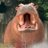innobbbimz's profile image