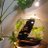 WissemW78661924's profile image