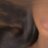 ppqpass's profile image