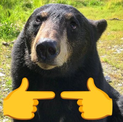 fuck fukc fuck you