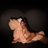 ts_dessdior's profile image