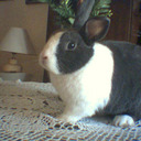 noemi escalante - @noeescala - Twitter