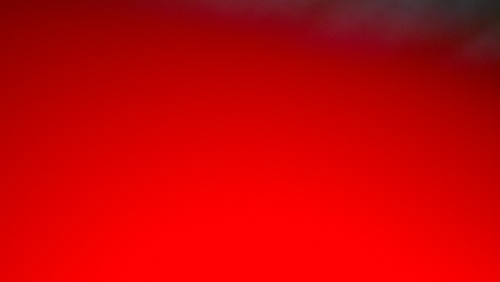 Cynrenee's profile picture. I love to learn and laugh