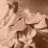 ya_12ma's profile image