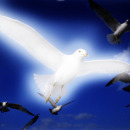 GlideexJo's profile picture. 