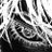 Zetil_00's profile image
