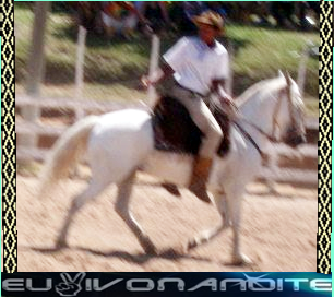 ousadi&alegria(y)