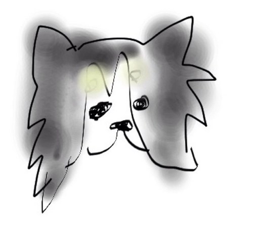 thublog_a's profile picture. 北の大地より いつまでもこころはチワワとともに