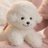 nandeyanen4894's profile image