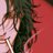 SooSleepChong's profile image