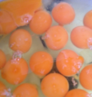 gisofa's profile picture. 