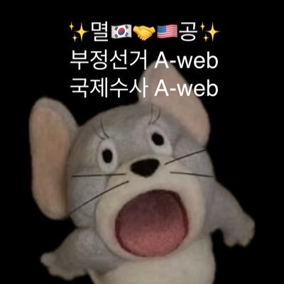 🔥부정선거 A-web 국제수사 A-web🔥
‼️CCP OUT‼️ PPP OUT‼️
✨We go together🇰🇷🤝🇺🇸✨