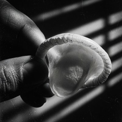 Condomz2's profile image