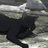 gxravitynn's profile image