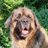 HubertErnstber1's profile image