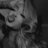 XoXoErra's profile image