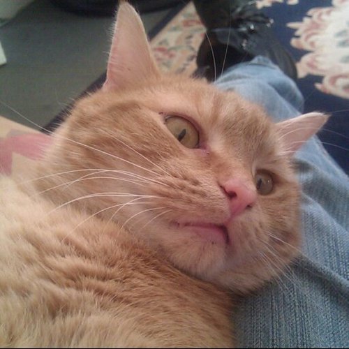 Taz_wonders's profile picture. Likes.......Neo. And......Neo. And......