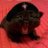 vermilionpixie's profile image