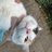 parth_sinha18's profile image