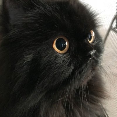 neijie