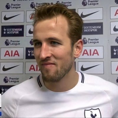 posting daily photos & updates of harry kane