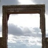 NotPolicy's profile picture. 