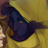 eviilfreeman's profile image