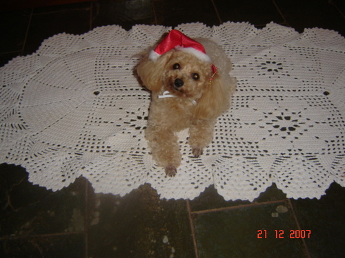 Não tinha fotos mihas no PC kkkkk