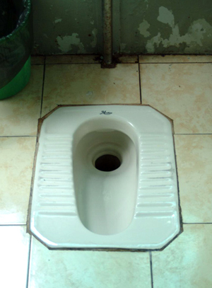 Working toward seeing clean toilets in India.