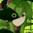 lasseh__'s profile image