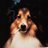 frchillrn227's profile image