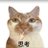 allgua4g's profile image