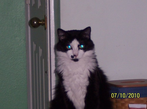 MorgainneLeFey's profile picture. 