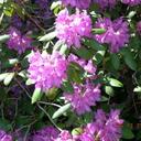 Kate Leith - @leithkao - Twitter