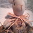 sundry4366's profile image
