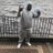 coww_cash's profile image