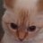 CCabellownsme's profile image
