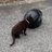 jolos117's profile image