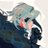hotelbizville's profile image