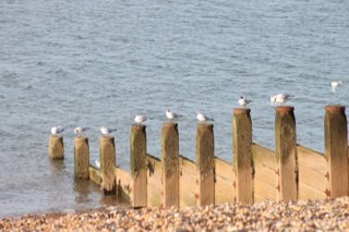 WISeasalterX's profile picture. Seasalter Cross WI meet once a month on the 3rd Tuesday at 7.45pm at the WI hall. We have varied events each month.Come along!